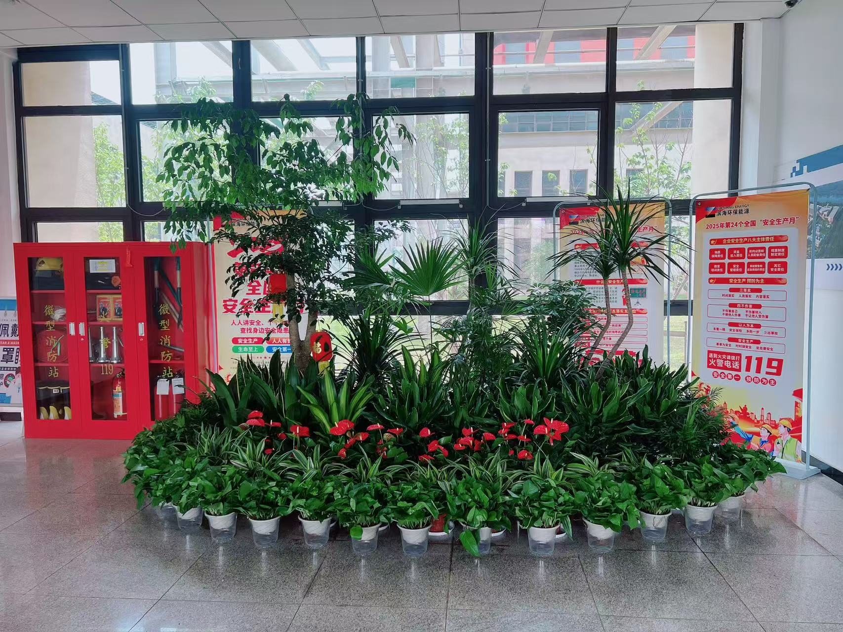 宁波北仑绿植出租设计,为您打造专属绿色空间